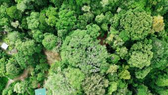 FOR SALE LAND READY TO BUILD SURROUNDED BY NATURE FOR SALE LAND READY TO BUILD SURROUNDED BY NATURE