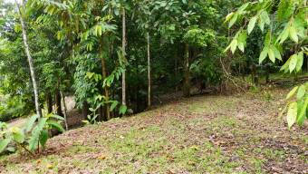 FOR SALE LAND READY TO BUILD SURROUNDED BY NATURE FOR SALE LAND READY TO BUILD SURROUNDED BY NATURE