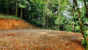 FOR SALE LAND READY TO BUILD SURROUNDED BY NATURE FOR SALE LAND READY TO BUILD SURROUNDED BY NATURE