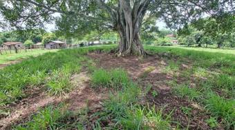 VENTA DE LOTE, USO MIXTO, ALAJUELA, ATENAS, SANTA EULALIA