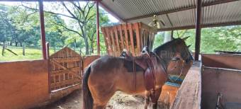 Venta de Finca en Manzanillo-Puntarenas. RAH 27-896