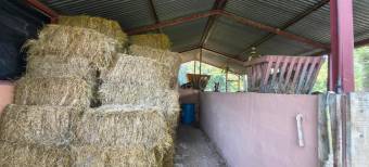 Venta de Finca en Manzanillo-Puntarenas. RAH 27-896