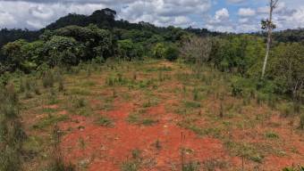 Nueva Oportunidad Finca en Venta en San Pablo, Pérez Zeledón Propiedad de 8.16 Hectáreas con Dos Ca