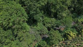 Nueva Oportunidad Finca en Venta en San Pablo, Pérez Zeledón Propiedad de 8.16 Hectáreas con Dos Ca