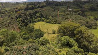 Nueva Oportunidad Finca en Venta en San Pablo, Pérez Zeledón Propiedad de 8.16 Hectáreas con Dos Ca