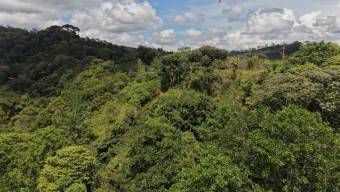 Nueva Oportunidad Finca en Venta en San Pablo, Pérez Zeledón Propiedad de 8.16 Hectáreas con Dos Ca