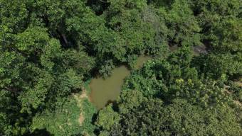 Nueva Oportunidad Finca en Venta en San Pablo, Pérez Zeledón Propiedad de 8.16 Hectáreas con Dos Ca