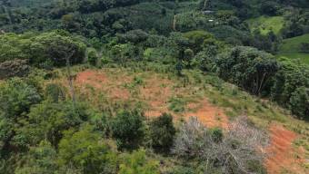 Nueva Oportunidad Finca en Venta en San Pablo, Pérez Zeledón Propiedad de 8.16 Hectáreas con Dos Ca