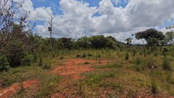 Nueva Oportunidad Finca en Venta en San Pablo, Pérez Zeledón Propiedad de 8.16 Hectáreas con Dos Ca