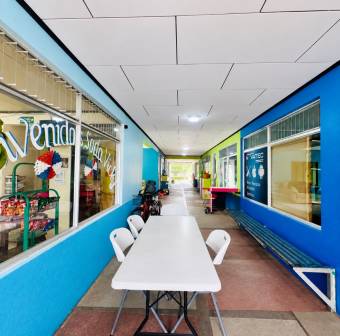 COMMERCIAL PROPERTY FOR SALE IN GUAYABO DE BAGACES, GUANACASTE , $ 350,000, 7, Guanacaste, Bagaces