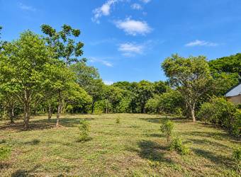 LAND FOR SALE IN LA GARITA NUEVA, TAMARINDO 