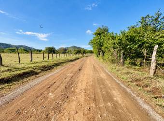 LAND FOR SALE IN LA GARITA NUEVA, TAMARINDO 