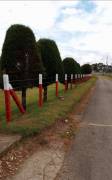 Se vende hermoso terreno en zona La Angelina, Cartago