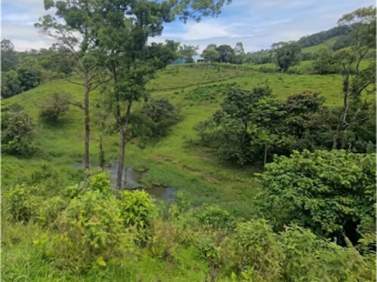 VENTA DE LOTE, RESIDENCIAL Y AGROPECUARIO, HEREDIA, SARAPIQUÍ, LA VIRGEN VENTA DE LOTE, RESIDENCIAL Y AGROPECUARIO, HEREDIA, SARAPIQUÍ, LA VIRGEN