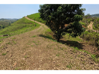VENTA DE LOTE, RESIDENCIAL Y AGROPECUARIO, HEREDIA, SARAPIQUÍ, LA VIRGEN
