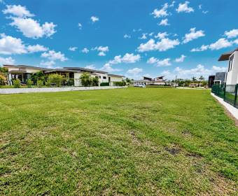 Lote 100% plano de 606 m2 a la venta en Ciudad Hacienda Los Reyes, en el exclusivo condominio Madero