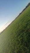 TERRENO EN VENTA EN LIBERIA GUANACASTE TERRENO EN VENTA EN LIBERIA GUANACASTE