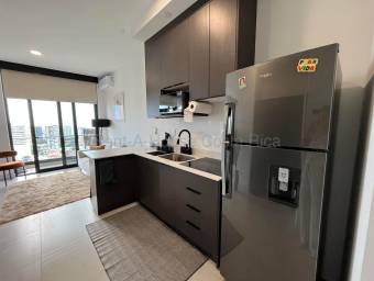 Apartamento en Alquiler de Lujo