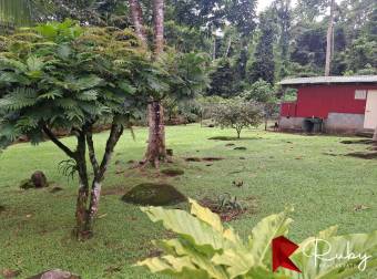 DONDE EL DISEÑO Y LA NATURALEZA SE ENCUENTRAN Guápiles, Pococí  Residencial privado
