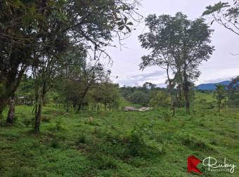 2.5 HECTÁREAS PARA CREAR TU PROPIO PROYECTO La Argentina de Pocora, Limón