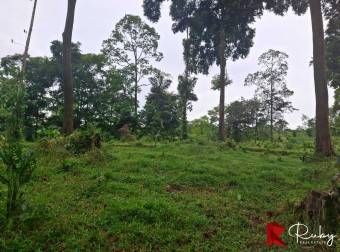 2.5 HECTÁREAS PARA CREAR TU PROPIO PROYECTO La Argentina de Pocora, Limón