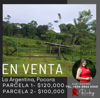2.5 HECTÁREAS PARA CREAR TU PROPIO PROYECTO La Argentina de Pocora, Limón
