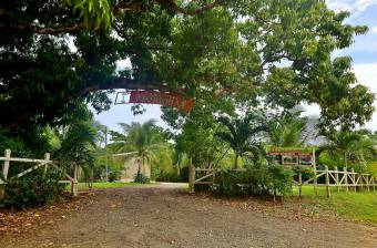Lote listo para construir