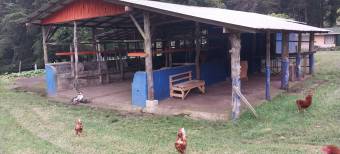 Hermosa finca en Los Angeles de San Rafael Heredia 10.4 hectareas