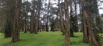 Hermosa finca en Los Angeles de San Rafael Heredia 10.4 hectareas
