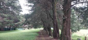Hermosa finca en Los Angeles de San Rafael Heredia 10.4 hectareas