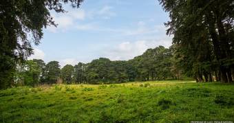 Hermosa finca en Los Angeles de San Rafael Heredia 10.4 hectareas