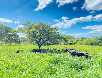 Finca en Venta en Fortuna de Bagaces, Guanacaste 