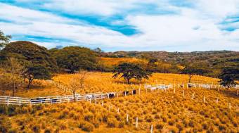 Finca en Venta en Fortuna de Bagaces, Guanacaste 