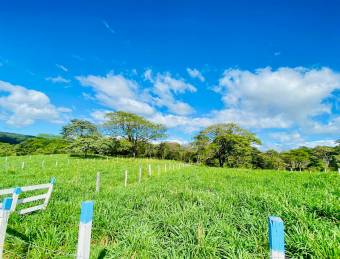 Finca en Venta en Fortuna de Bagaces, Guanacaste 