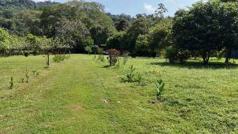SE VENDE LOTE CON CASA EN HATILLO CON ACCESO A RIO Y SERVICIOS AUTONOMOS