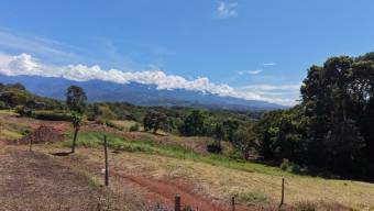 VENTA DE LOTE RESIDENCIAL DE 826 M2 EN BARRIO SAN VALENTIN, PEREZ ZELEDON