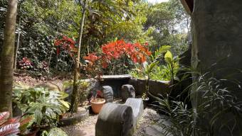 SE VENDE CASA EN SANTUARIO NATURAL CON RESERVA PRIVADA Y CASA DE HUESPEDES EN PEREZ ZELEDON
