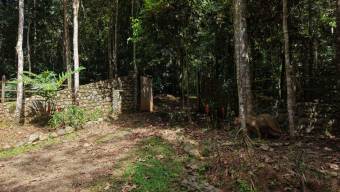 SE VENDE CASA EN SANTUARIO NATURAL CON RESERVA PRIVADA Y CASA DE HUESPEDES EN PEREZ ZELEDON
