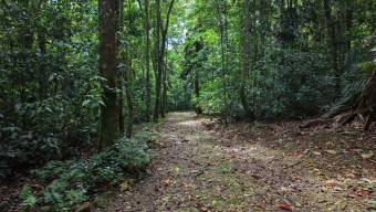 SE VENDE CASA EN SANTUARIO NATURAL CON RESERVA PRIVADA Y CASA DE HUESPEDES EN PEREZ ZELEDON