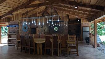 SE VENDE CASA EN SANTUARIO NATURAL CON RESERVA PRIVADA Y CASA DE HUESPEDES EN PEREZ ZELEDON