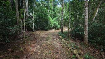 SE VENDE CASA EN SANTUARIO NATURAL CON RESERVA PRIVADA Y CASA DE HUESPEDES EN PEREZ ZELEDON