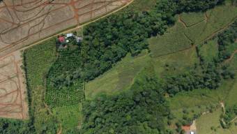 SE VENDE FINCA CON TOPOGRAFIA PLANA Y POTENCIAL AGRICOLA EN PEREZ ZELEDON