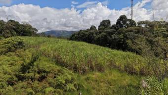 SE VENDE FINCA CON TOPOGRAFIA PLANA Y POTENCIAL AGRICOLA EN PEREZ ZELEDON