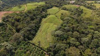 SE VENDE FINCA CON TOPOGRAFIA PLANA Y POTENCIAL AGRICOLA EN PEREZ ZELEDON