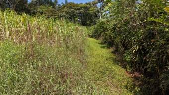 SE VENDE FINCA CON TOPOGRAFIA PLANA Y POTENCIAL AGRICOLA EN PEREZ ZELEDON