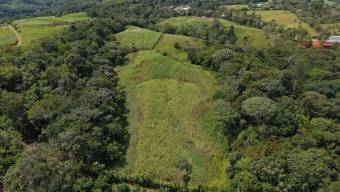 SE VENDE FINCA CON TOPOGRAFIA PLANA Y POTENCIAL AGRICOLA EN PEREZ ZELEDON