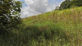 SE VENDE FINCA CON TOPOGRAFIA PLANA Y POTENCIAL AGRICOLA EN PEREZ ZELEDON