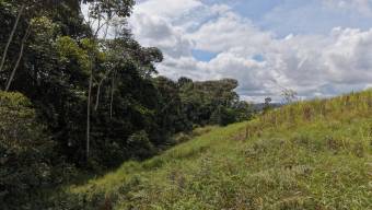 SE VENDE FINCA CON TOPOGRAFIA PLANA Y POTENCIAL AGRICOLA EN PEREZ ZELEDON