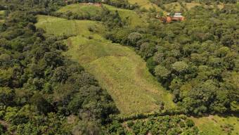 SE VENDE FINCA CON TOPOGRAFIA PLANA Y POTENCIAL AGRICOLA EN PEREZ ZELEDON
