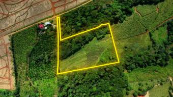 SE VENDE FINCA CON TOPOGRAFIA PLANA Y POTENCIAL AGRICOLA EN PEREZ ZELEDON